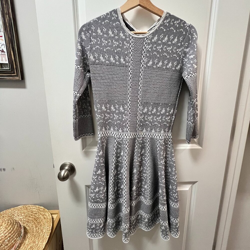 Gianni Bini Size M Long Sleeve Mini Dress